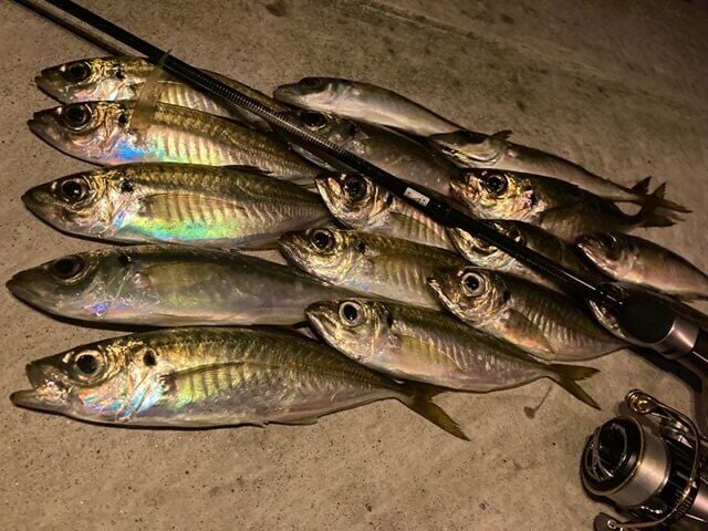 Light Rock Fishing’in İncelikleri ve Doğru Ekipman Seçimi