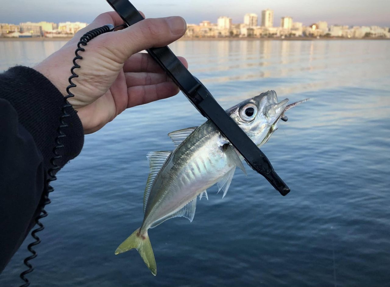 Lrf Makine Tavsiyeleri