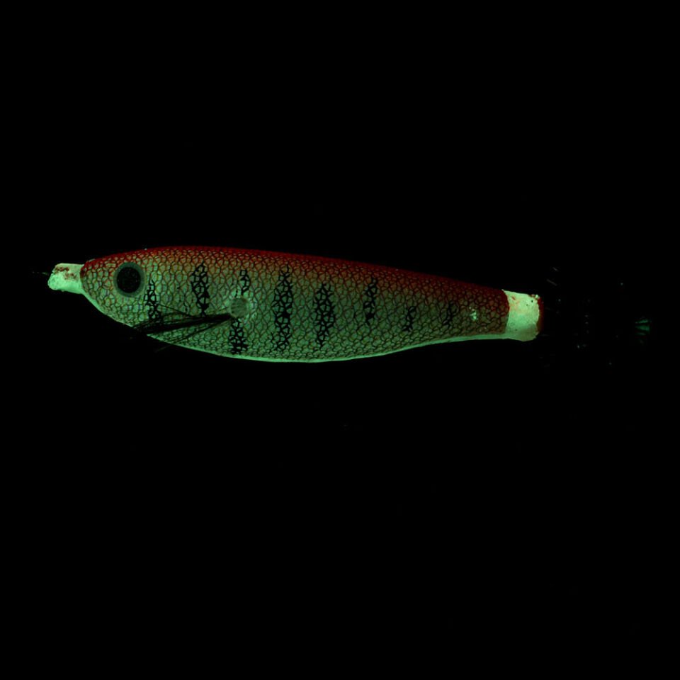 Ryuji Toto Squid 7cm Kalamar Jighead
