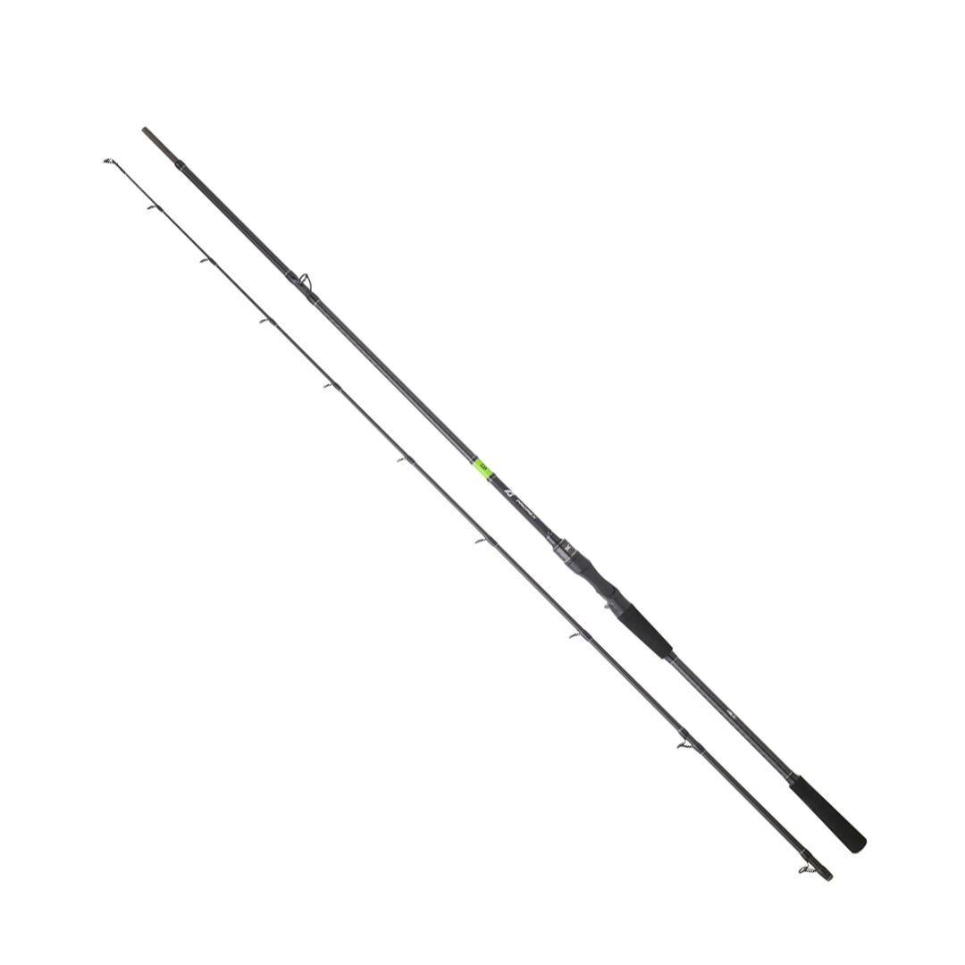 DAIWA PROREX E CASTING 1.98M, 60-120GR, 2P KAMIŞ