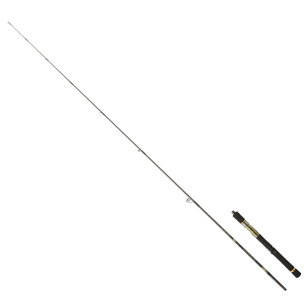 DAIWA CROSSCAST DF 2.21M, 28-84GR, 1+1P KAMIŞ