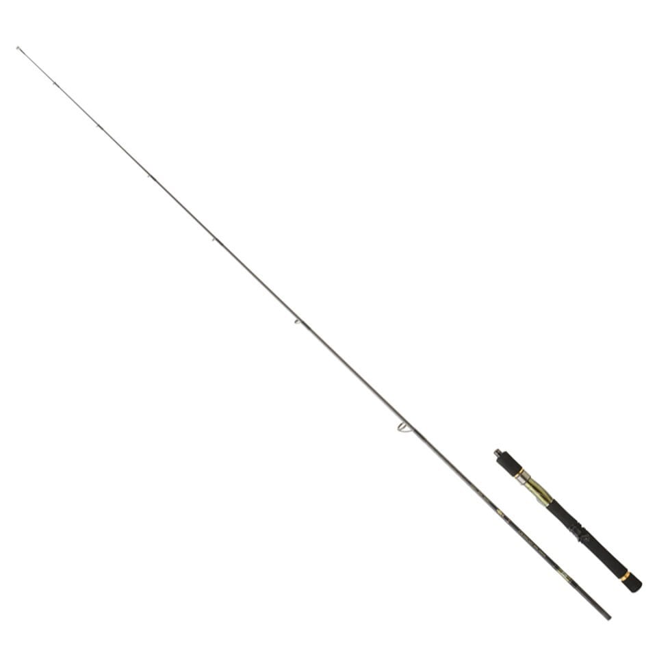 DAIWA CROSSCAST DF 2.21M, 28-84GR, 1+1P KAMIŞ