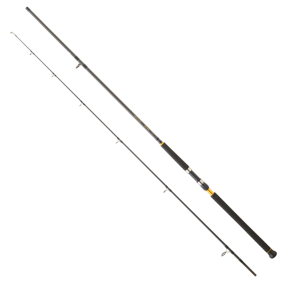 DAIWA LEGALIS SJ CF 2.90M 28-84GR 2P SHORE JIG KAMIŞ