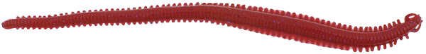 Berkley Gulp Alive Nereis Sahte Kurt 15CM - 14LÜ - BLOODY