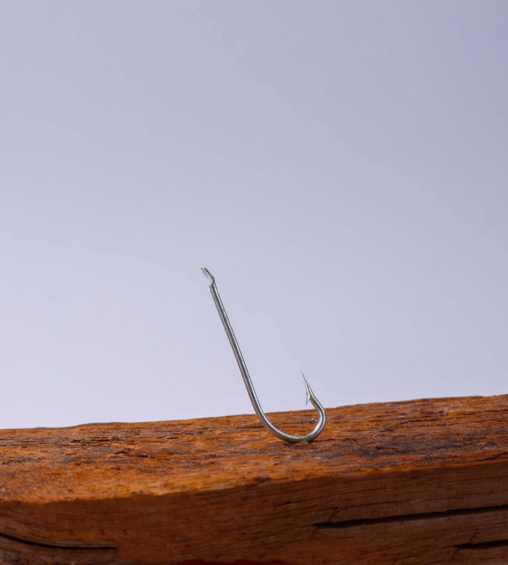 M2310 GALVANİZ İĞNE 1000P #16