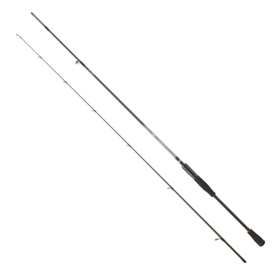 DAIWA EXCELER EF 2.52M, 10-35GR, 2P KAMIŞ