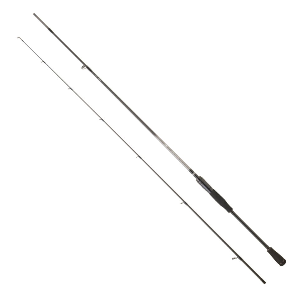 DAIWA EXCELER EF 2.52M, 10-35GR, 2P KAMIŞ