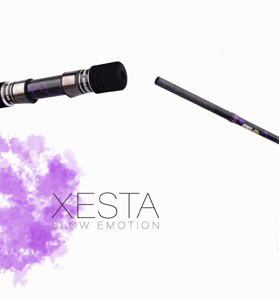 XESTA SLOW EMOTION SPIN SLOW JERK S653 1.95M 150-300G 2P