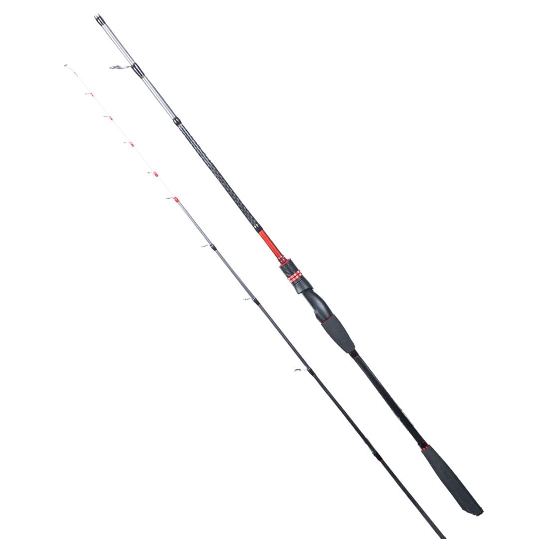 RYUJI SPECTRA SP 1.98M 70-300GR 2P BOT KAMIŞI