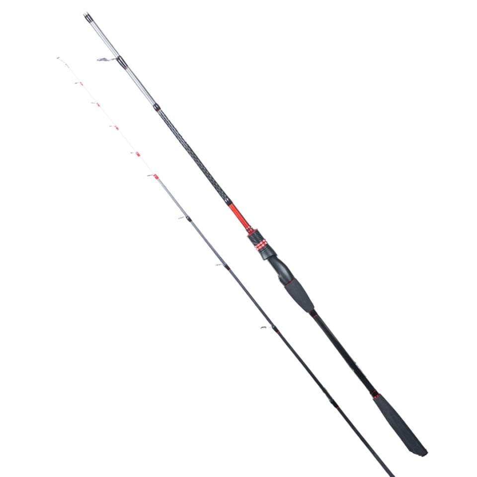 RYUJI SPECTRA SP 1.98M 70-300GR 2P BOT KAMIŞI