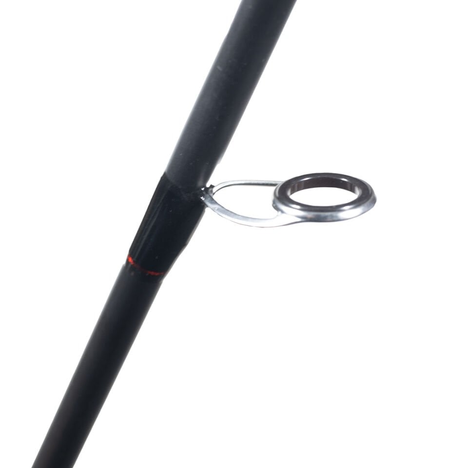 RYUJI SPECTRA SP 1.98M 70-300GR 2P BOT KAMIŞI