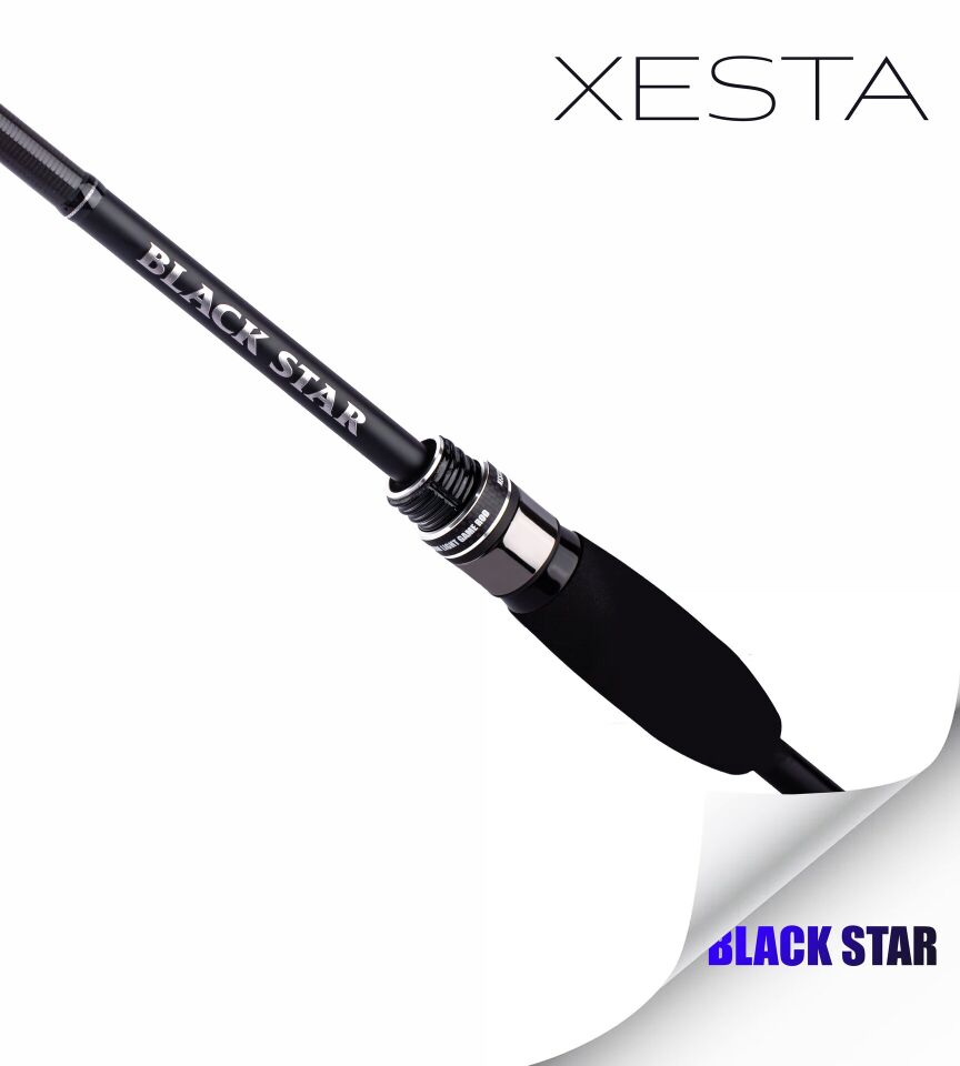 XESTA BLACKSTAR S78M-S KAMIŞ 2.34M 1-20G 0.2-08PE 2P