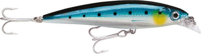 Rapala X-Rap Saltwater Sahte Balığı 100MM - BSRD