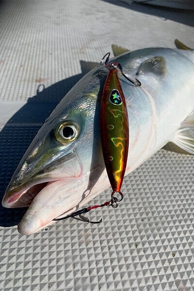 XESTA SLOW EMOTION FLAP QR 180G PGD