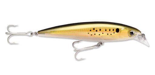 Rapala X-Rap Saltwater Sahte Balığı 100MM - BNK