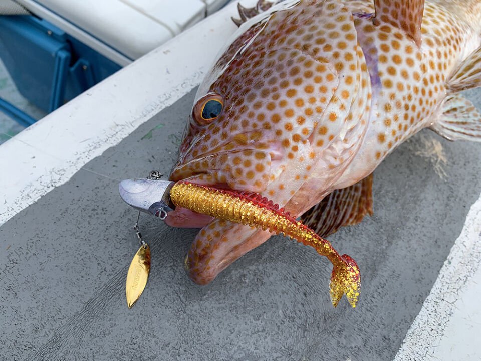 XESTA SHAD STAR SİLİKON 4.5'' 12CM KBIW 5P