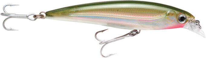 Rapala X-Rap Saltwater Sahte Balığı 100MM - OG