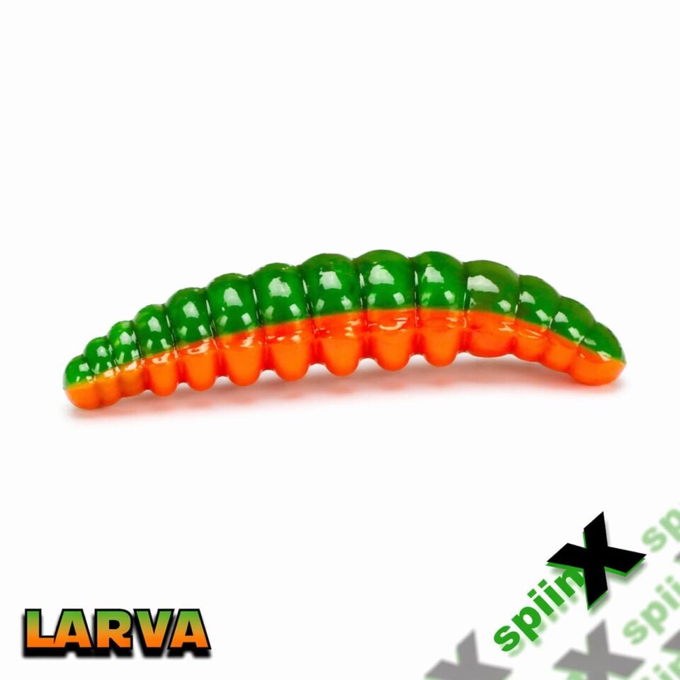 SPIINX LARVA 35MM 14P PEYNİR CITRUS 54