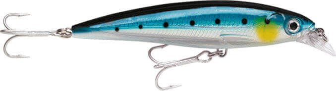 Rapala X-Rap Saltwater Sahte Balığı 140MM - BSRD