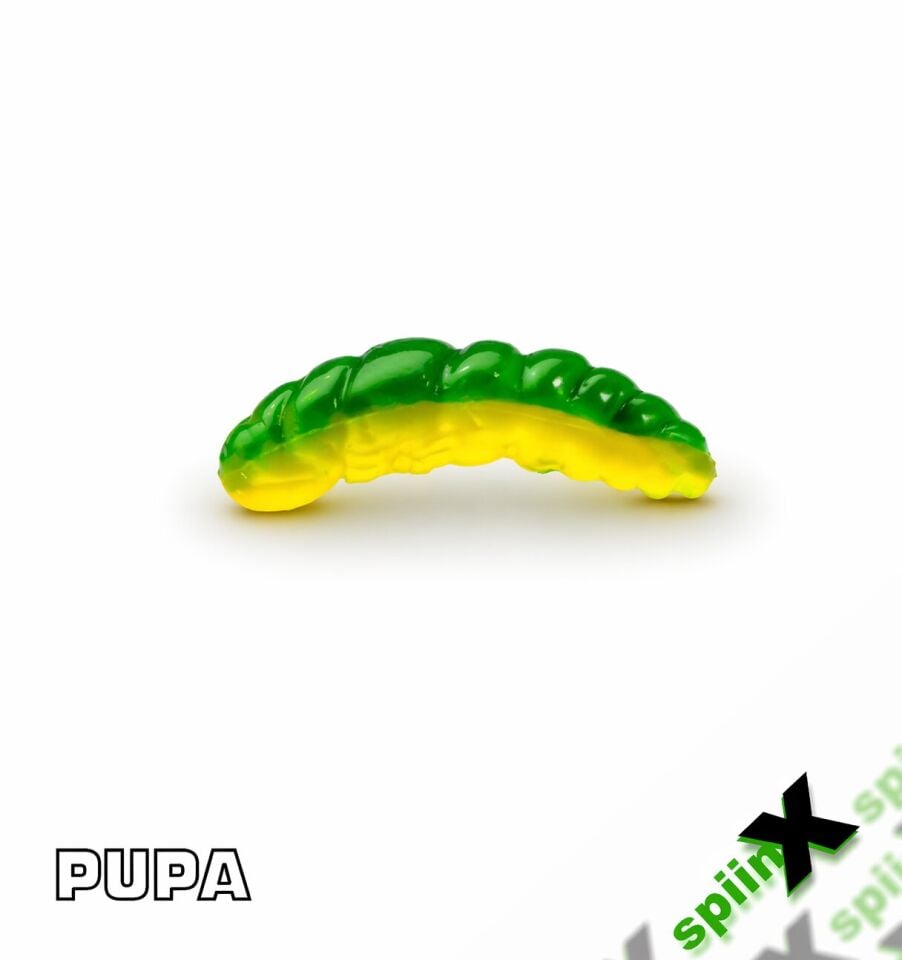 SPIINX PUPA 35MM 12P PEYNİR JAMAICA 72