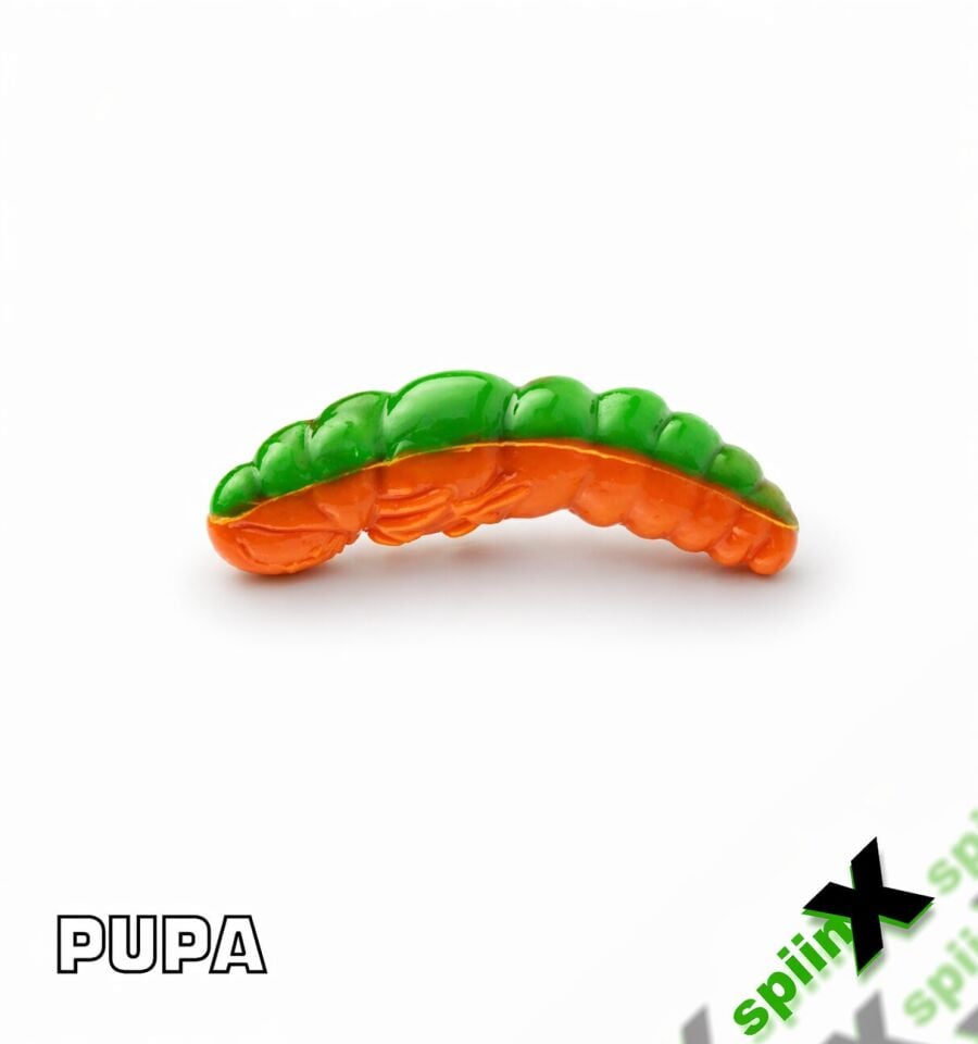 SPIINX PUPA 35MM 12P PEYNİR CITRUS 54