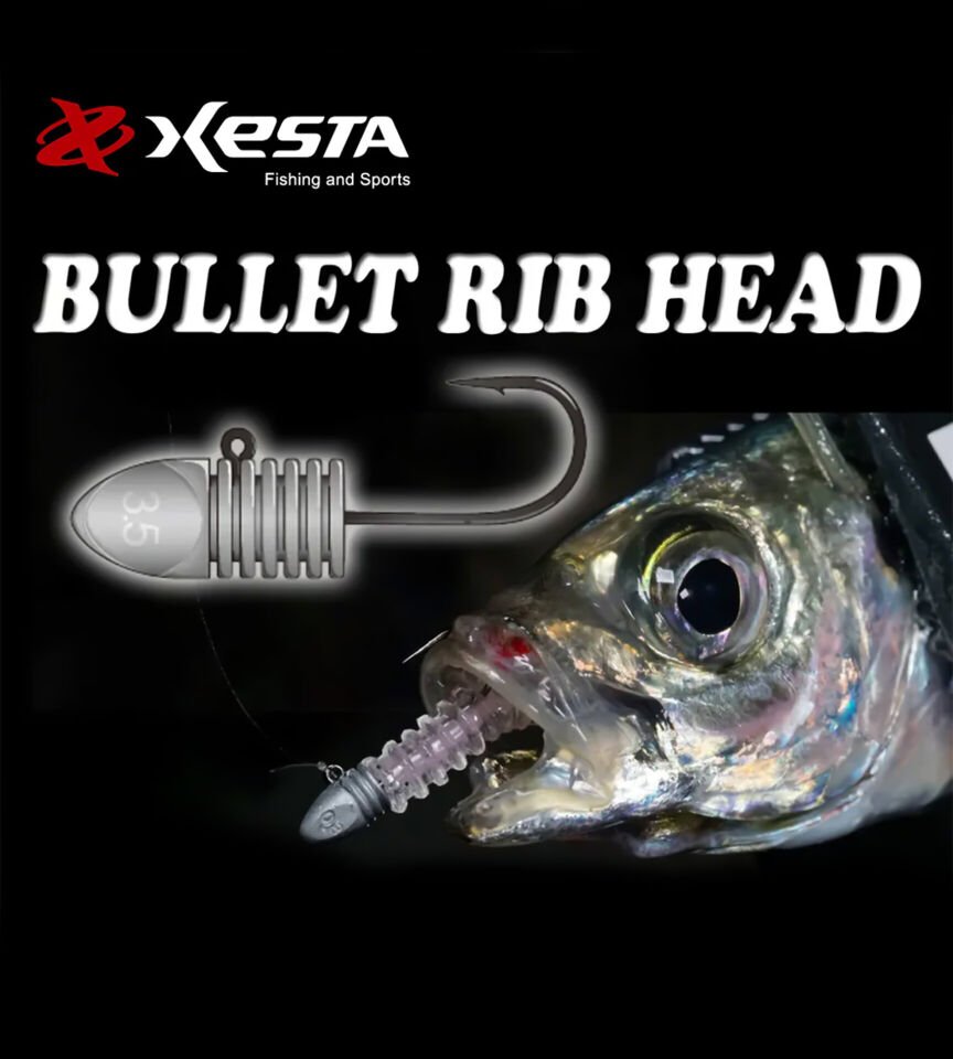 XESTA BULLET RIBHEAD JIG HEAD #8 4P 0.8G