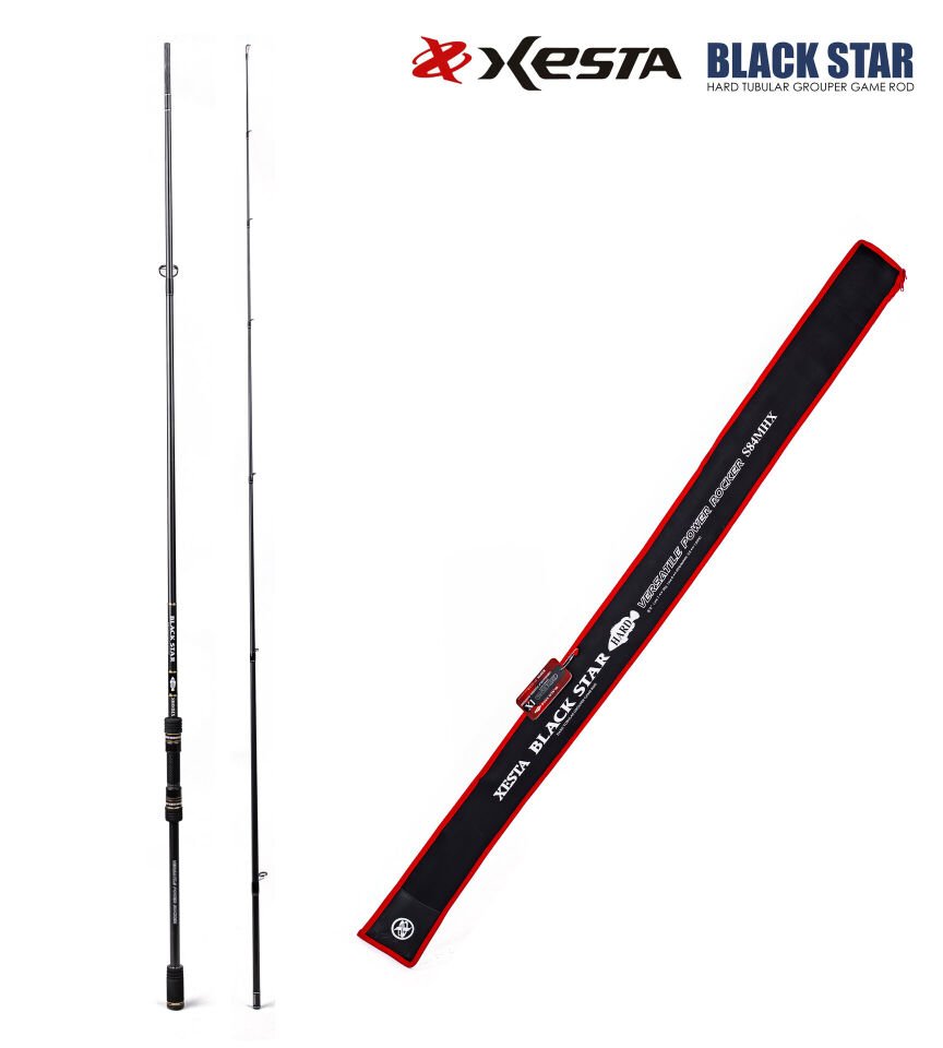 XESTA BLACKSTAR HARD S84MHX KAMIŞ 2.54M 7-35G
