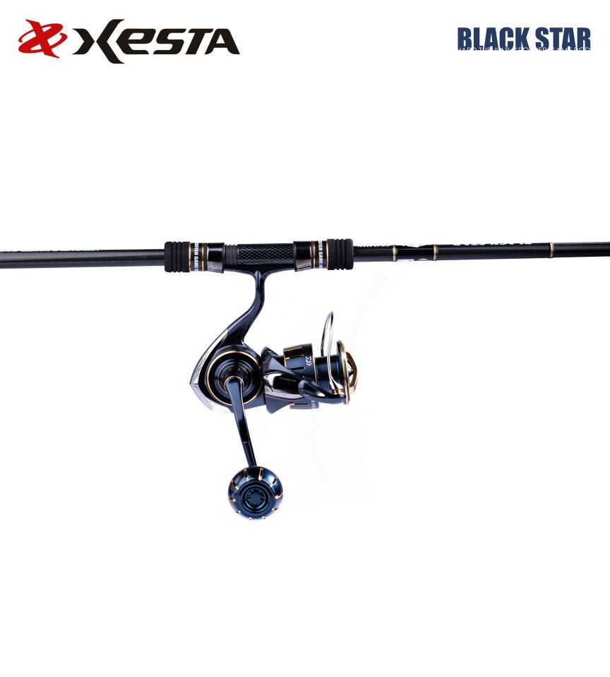 XESTA BLACKSTAR HARD S84MHX KAMIŞ 2.54M 7-35G