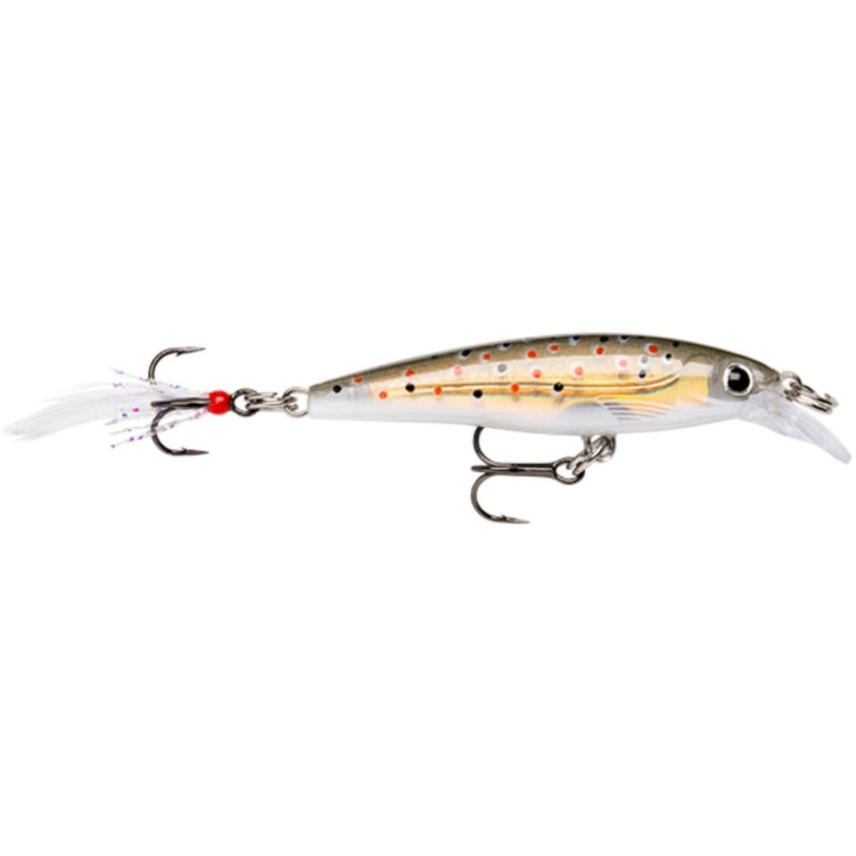 Rapala Freshwater X-Rap Sert Balık TR - 100MM
