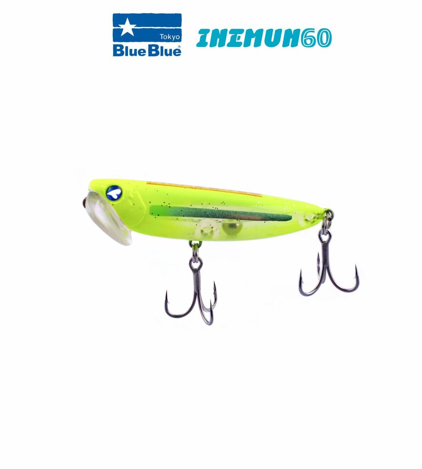 INEMUN 60 6G #39