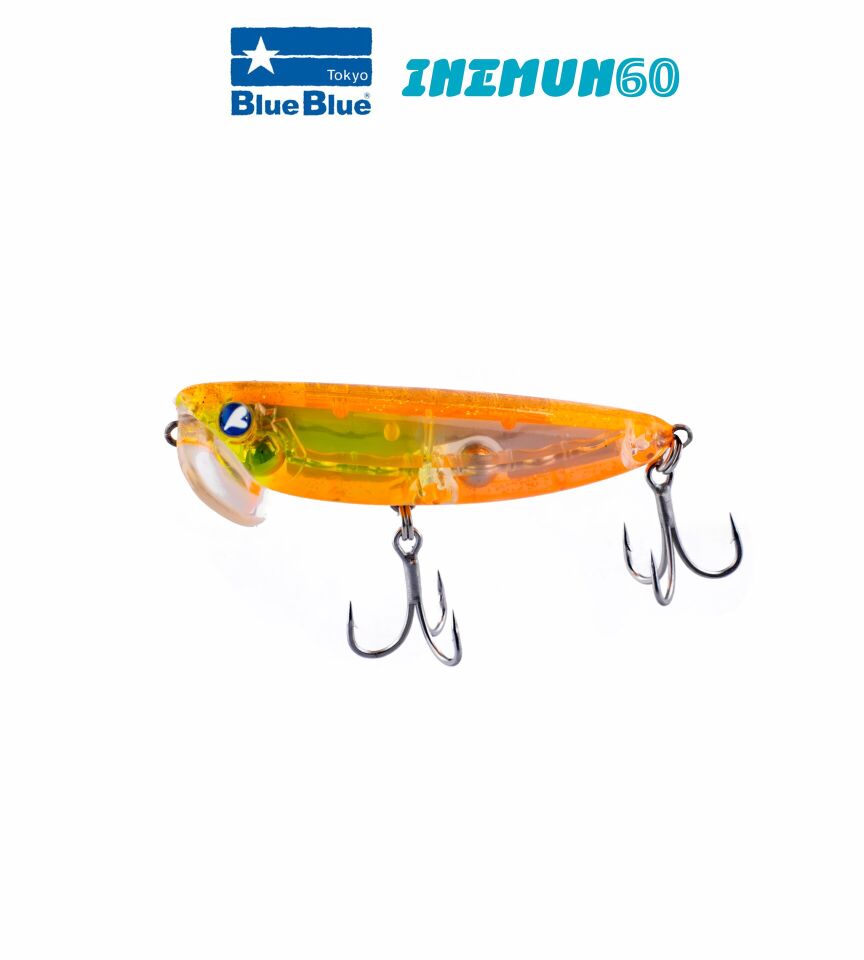 INEMUN 60 6G #60