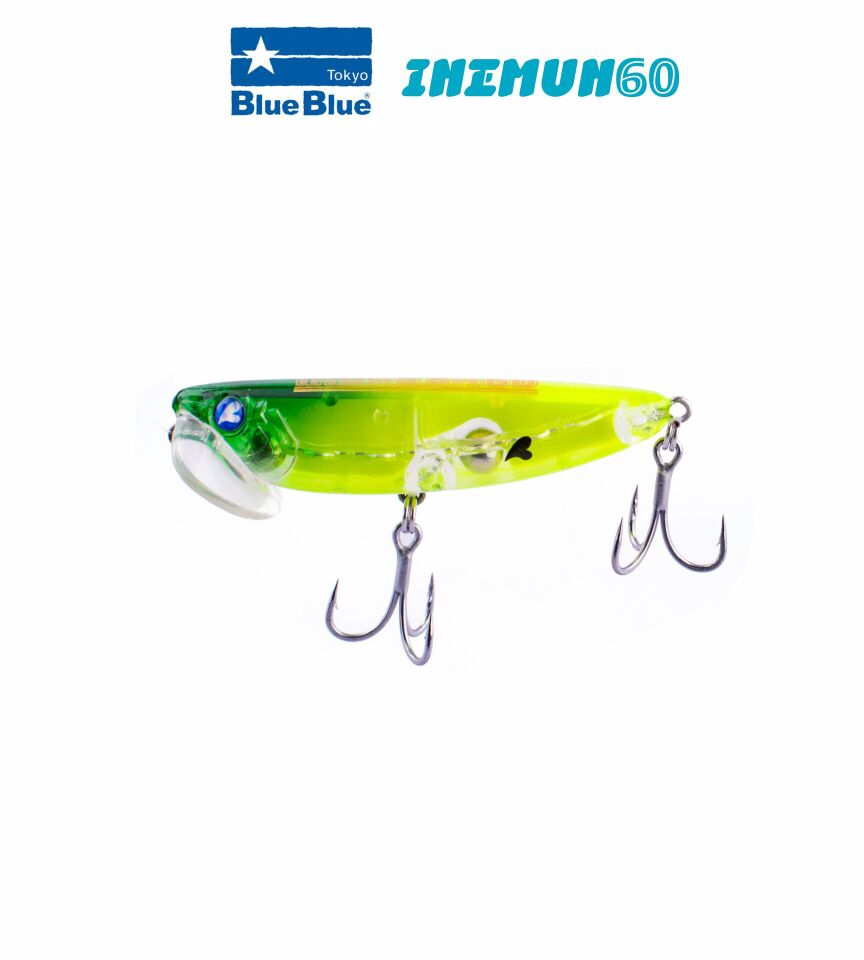 INEMUN 60 6G #61