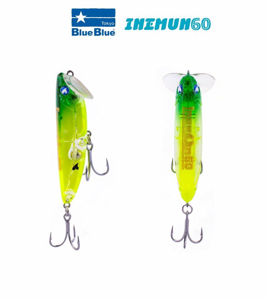 INEMUN 60 6G #61