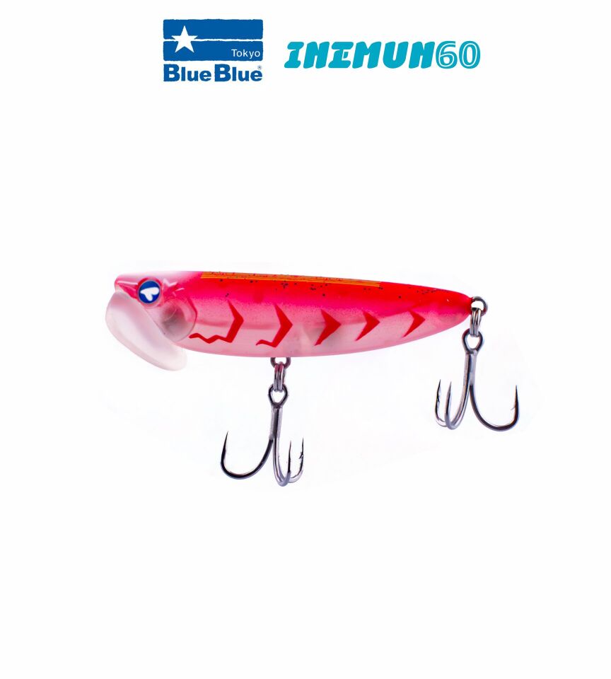 INEMUN 60 6G #63