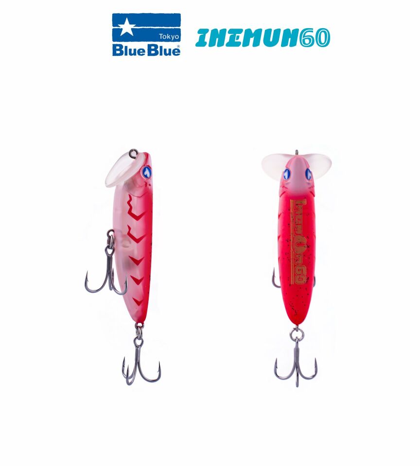 INEMUN 60 6G #63
