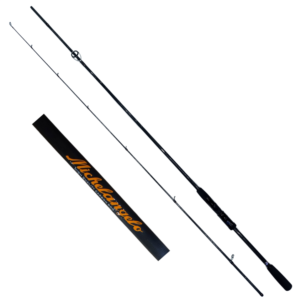DFT Michelangelo 243 cm  Olta Kamışı 10-20 g