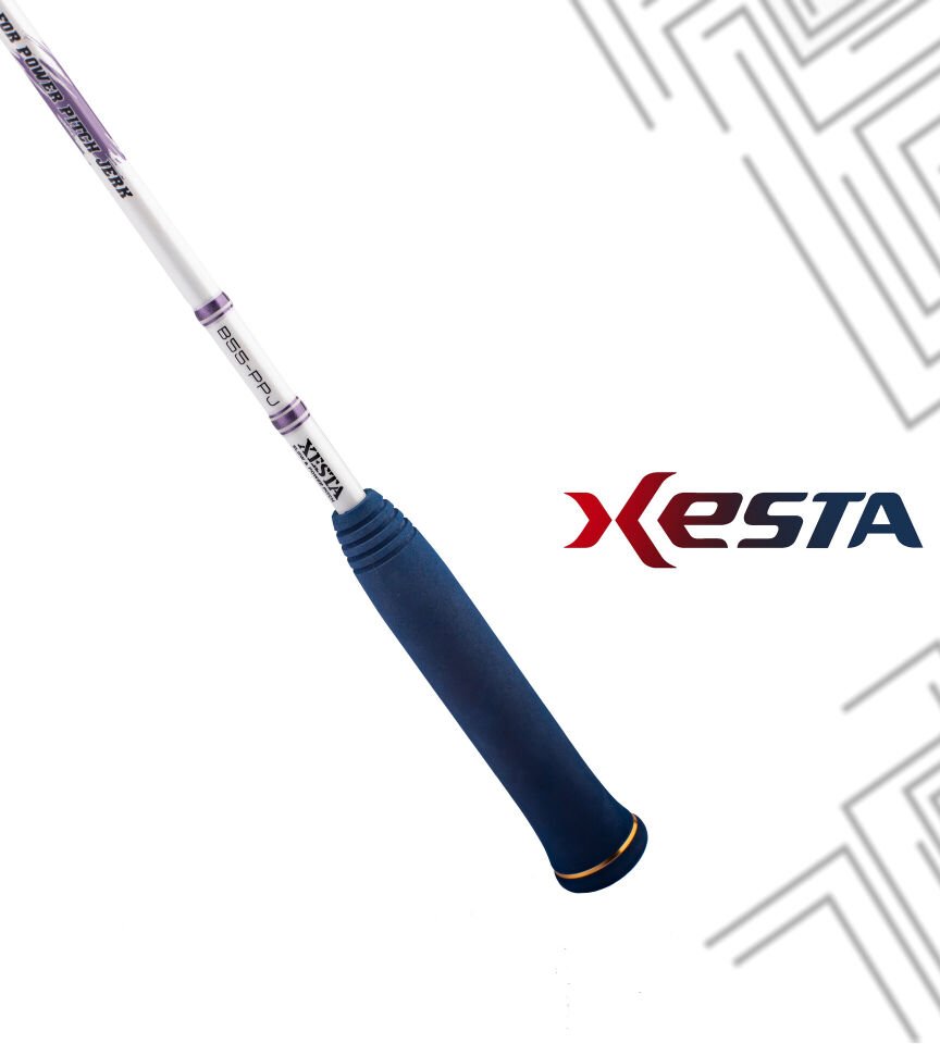 XESTA SLOW EMOTION FOR POWER PITCH JERK B55-PPJ 1.65M 180-600G