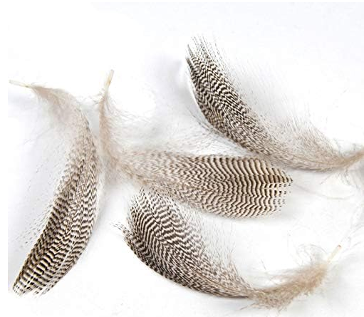 Captain 7634 İthal Çapari Tüyü 5gr Kırçıl Tüy