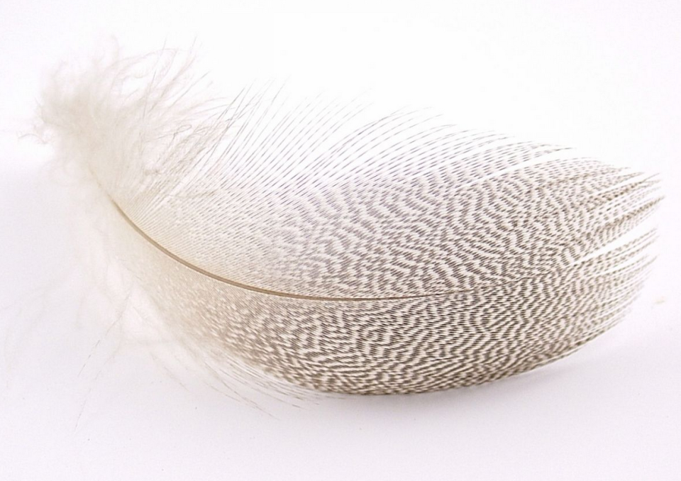 Captain 7634 İthal Çapari Tüyü 5gr Kırçıl Tüy