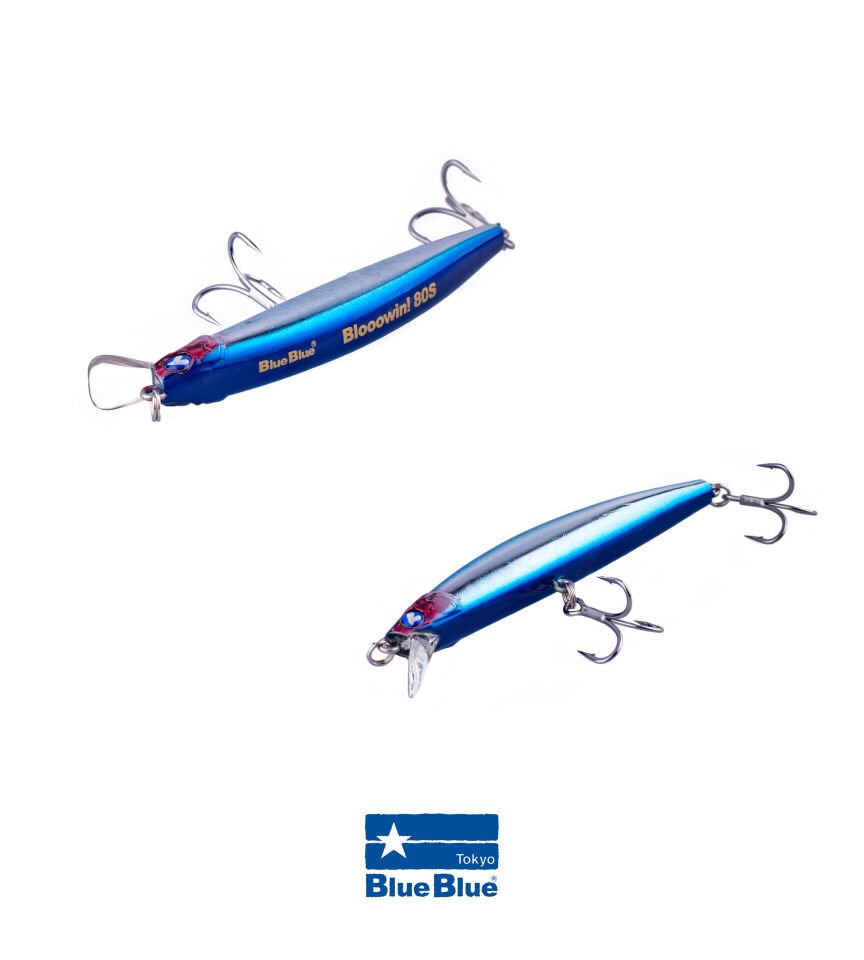 BLOOWIN! 80 SINKING 8G #01