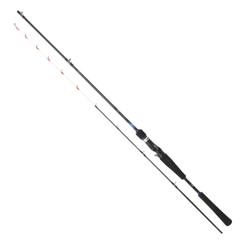 Daiwa Emeraldas Boat 1.98m 40-100gr 2P Kamış