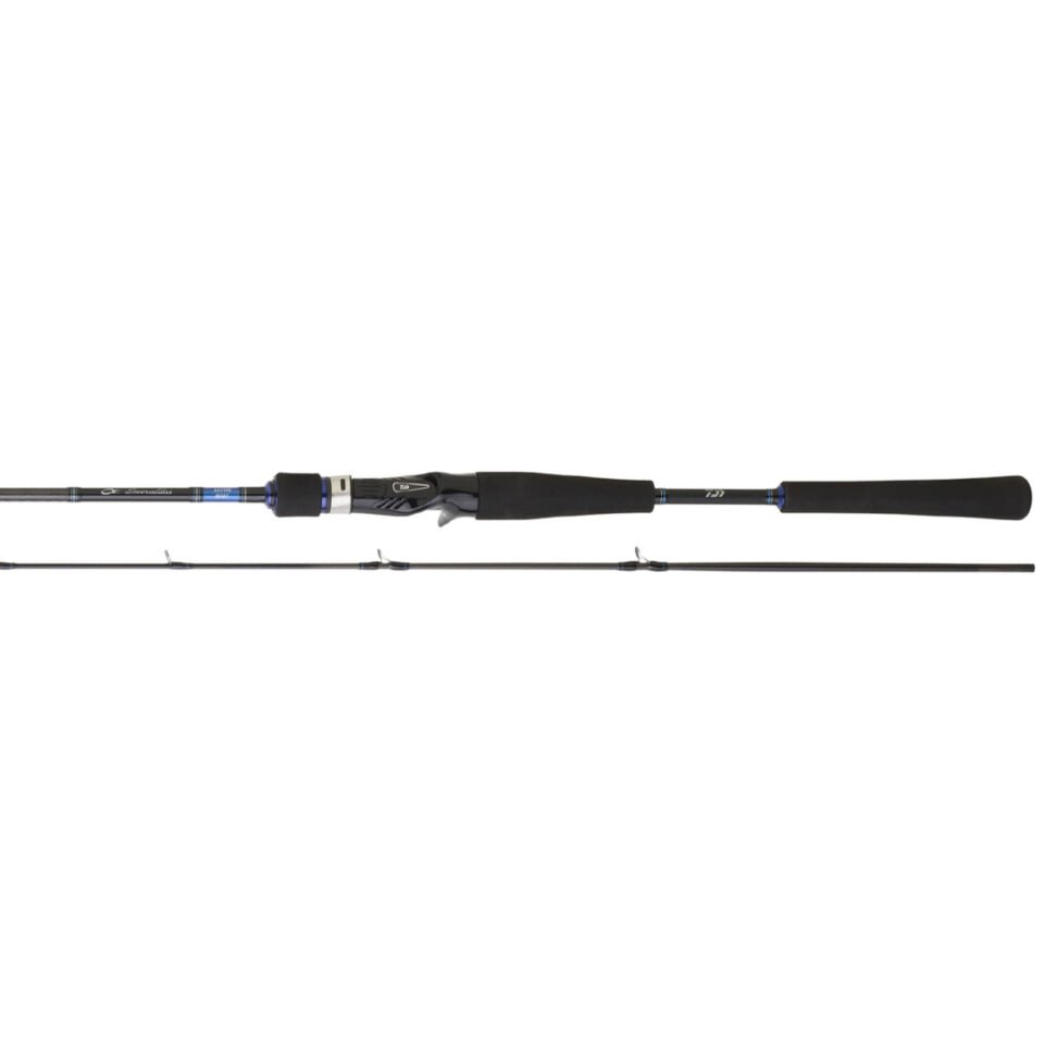 Daiwa Emeraldas Boat 1.98m 40-100gr 2P Kamış