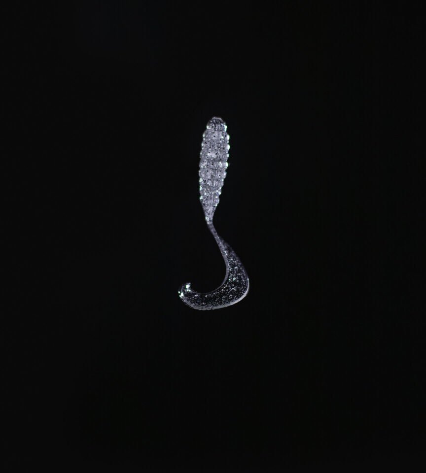 SPIINX CRAZY TAIL KUYRUK 7.5CM 10P CLEAR SILVER