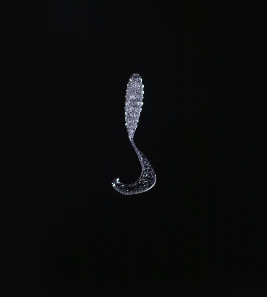 SPIINX CRAZY TAIL KUYRUK 7.5CM 10P CLEAR SILVER