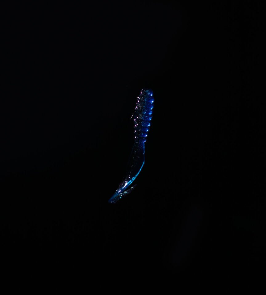 SPIINX CRAZY TAIL KUYRUK 7.5CM 10P BLUE SILVER