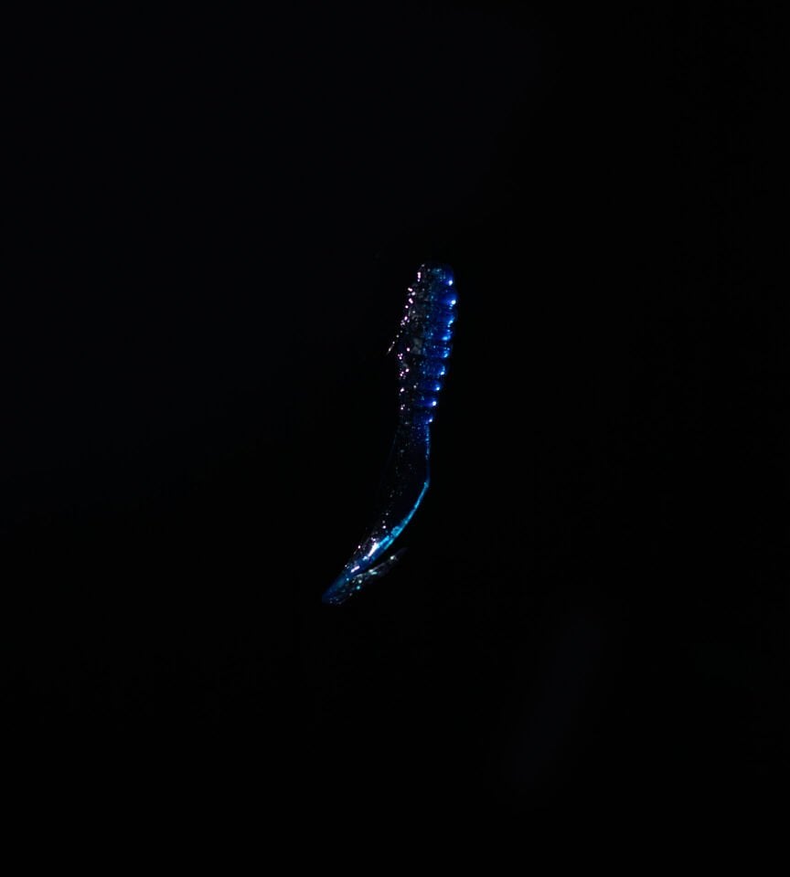 SPIINX CRAZY TAIL KUYRUK 7.5CM 10P BLUE SILVER
