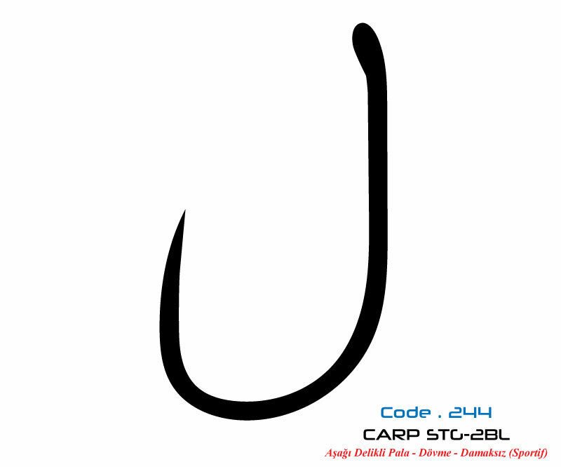 2447 CARP STG-2 DAMAKSIZ  #6 TEFLON 8P