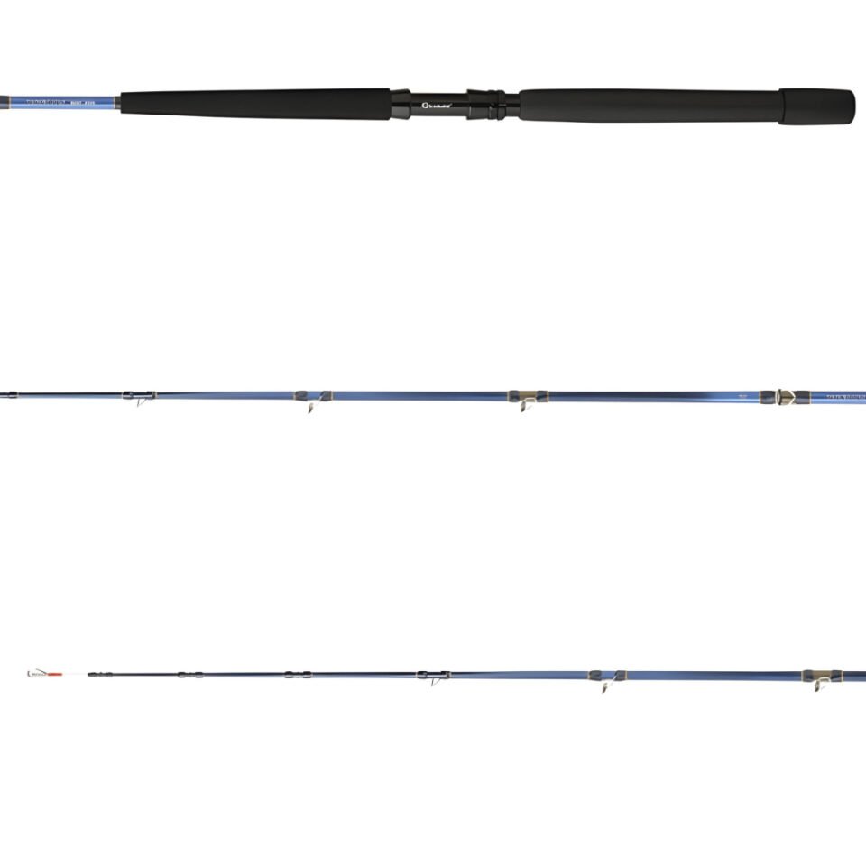 Daiwa Tanacom 2.00m 250-1000gr 2P Bot Kamışı
