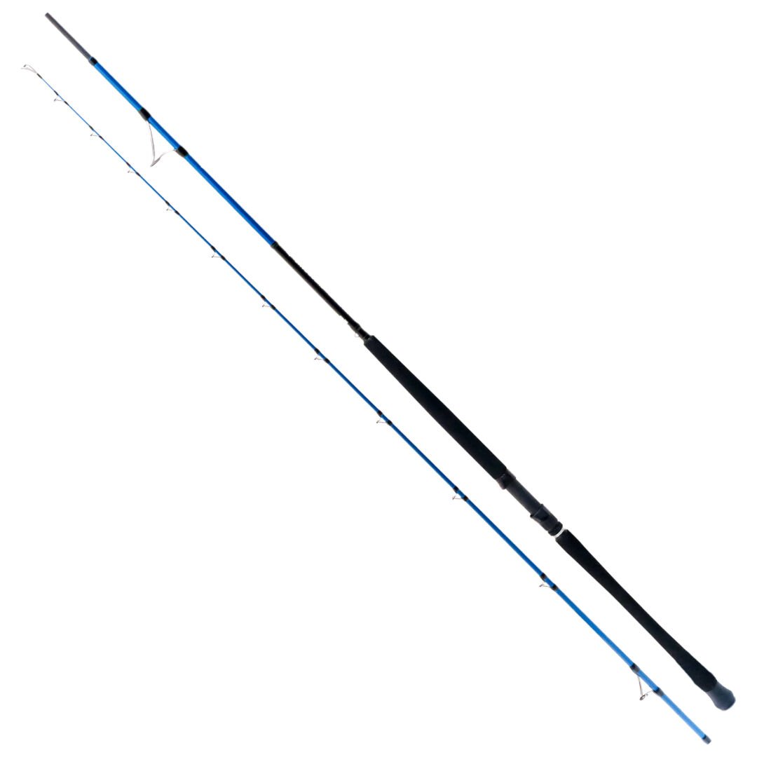 Ryuji Shore Game Fuji 2.95m 30-100gr 2P Shore Jig Kamış