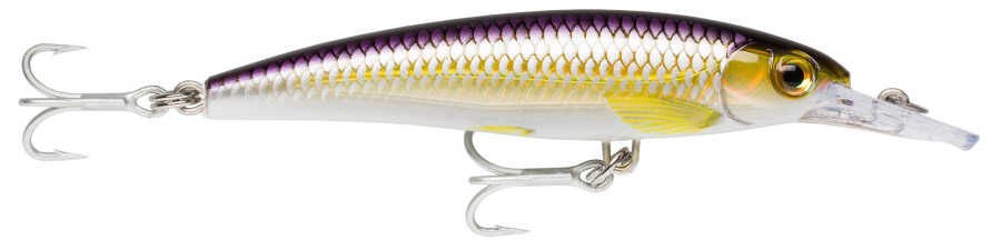 Rapala X-Rap 3x Minnow Sahte Balığı 100MM - PBH